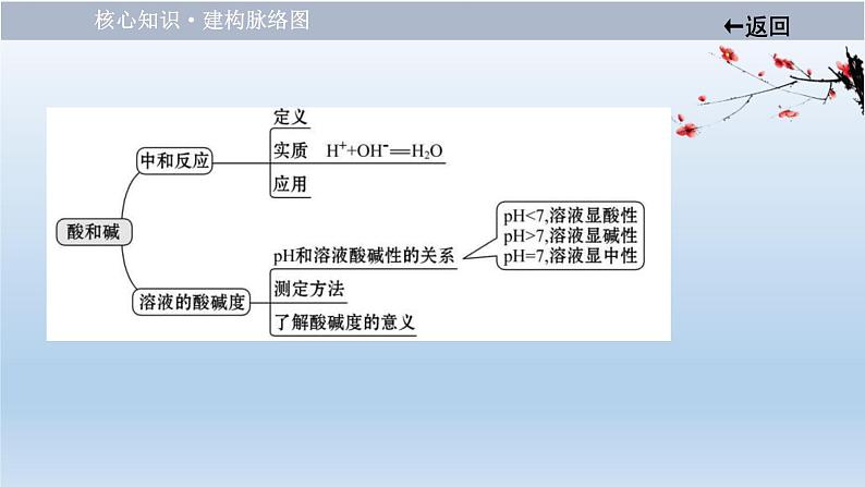 中考化学一轮单元总复习课件 第十单元 中和反应和pH (含答案)03