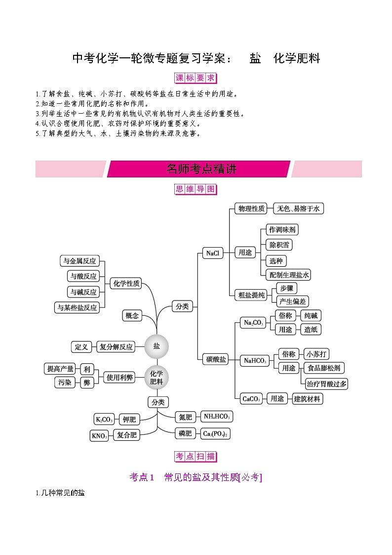 中考化学一轮微专题复习学案:盐化学肥料 (含答案)第1页
