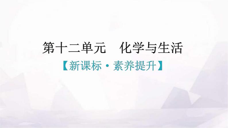 人教版九年级化学第十二单元化学与生活新课标素养提升课件第1页