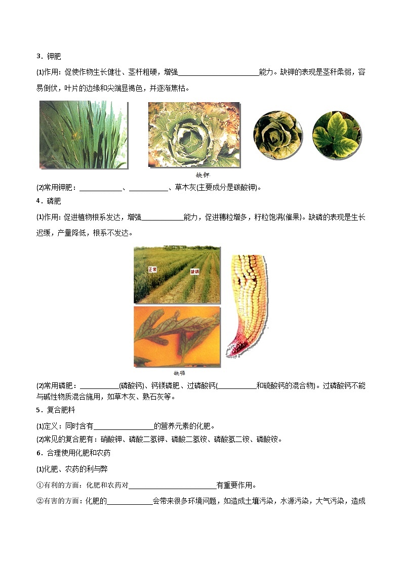 课题11.2 化学肥料-最新初中化学同步(含答案)第2页