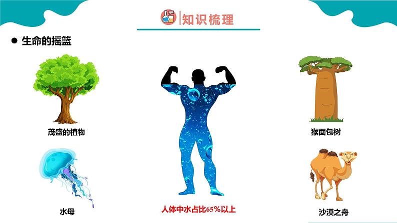 课题1 爱护水资源课件PPT04
