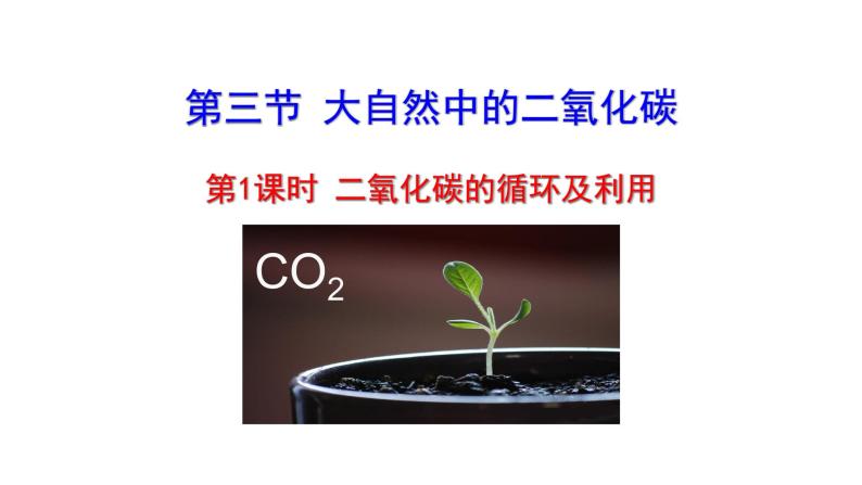 6.3 第1课时 二氧化碳的循环及利用  课件 2023-2024 鲁教版化学 八年级01