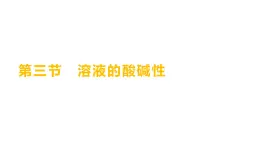 第二单元  第三节　溶液的酸碱性 练习课件 2023--2024学年九年级化学鲁教版（五四学制）全一册