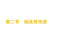 第二单元  第二节　碱及其性质 练习课件 2023--2024学年九年级化学鲁教版（五四学制）全一册