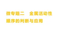 微专题二　金属活动性顺序的判断与应用 练习课件 2023--2024学年九年级化学鲁教版（五四学制）全一册