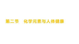 第五单元  第二节　化学元素与人体健康 练习课件 2023--2024学年九年级化学鲁教版（五四学制）全一册