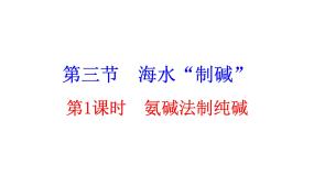 初中化学鲁教版 (五四制)九年级全册3 海水“制碱”背景图ppt课件