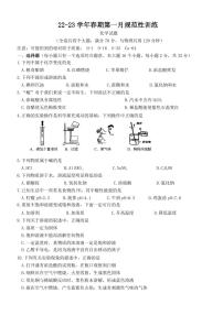 重庆市永川区某校2022-2023学年九年级下学期第一次月考化学试题