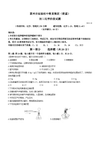 江苏省泰兴市实验初中教育集团（联盟）2023-2024学年九年级上学期阶段测试化学试题