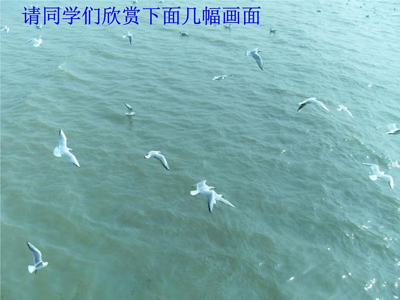 《课题1 爱护水资源》教学课件-九年级上册化学人教版第1页