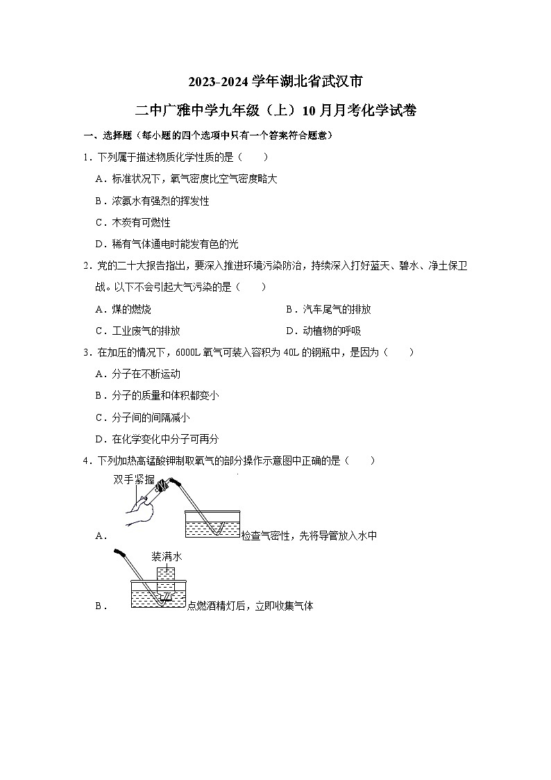 湖北省武汉市二中广雅中学2023-2024学年九年级上学期10月月考化学试卷01