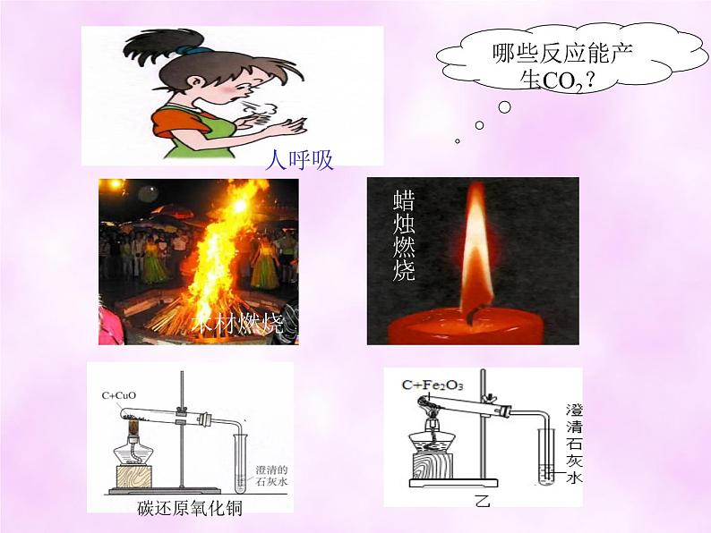 6.2《二氧化碳制取的研究》PPT课件2-九年级上册化学人教版第2页