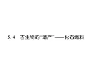 科粤版九年级化学上册第5章5.4  古生物的“遗产”——化石燃料课时训练课件PPT