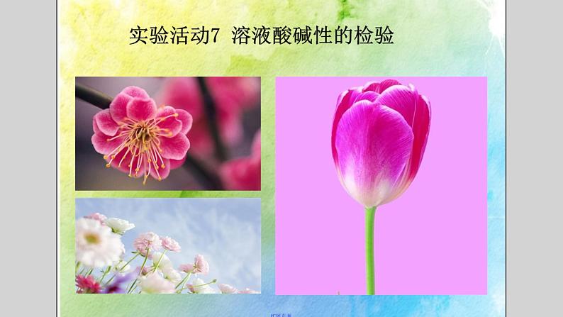 人教版化学九年级下册第10单元《实验活动7 溶液酸碱性的检验》PPT课件3第1页
