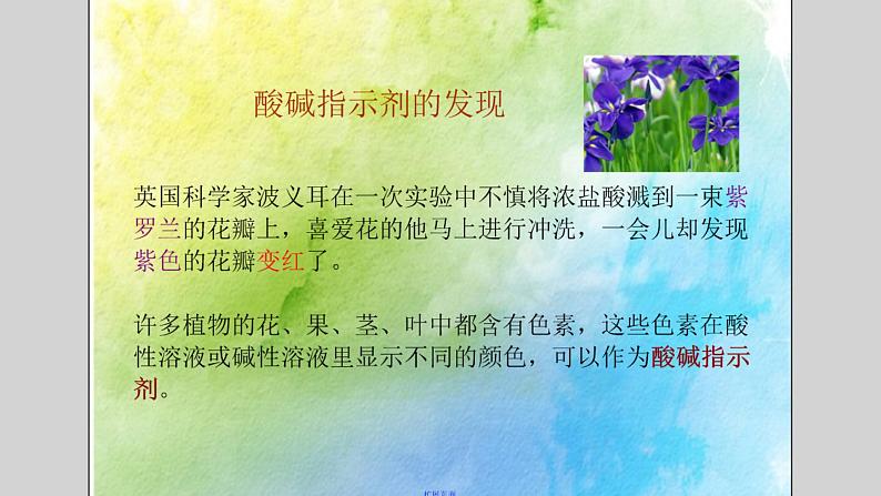 人教版化学九年级下册第10单元《实验活动7 溶液酸碱性的检验》PPT课件3第4页