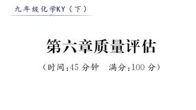 科粤版九年级化学下册第6章质量评估课时训练课件PPT