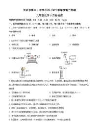贵州省贵阳市南明区贵阳十四中2021-2022学年九年级下学期月考化学试题