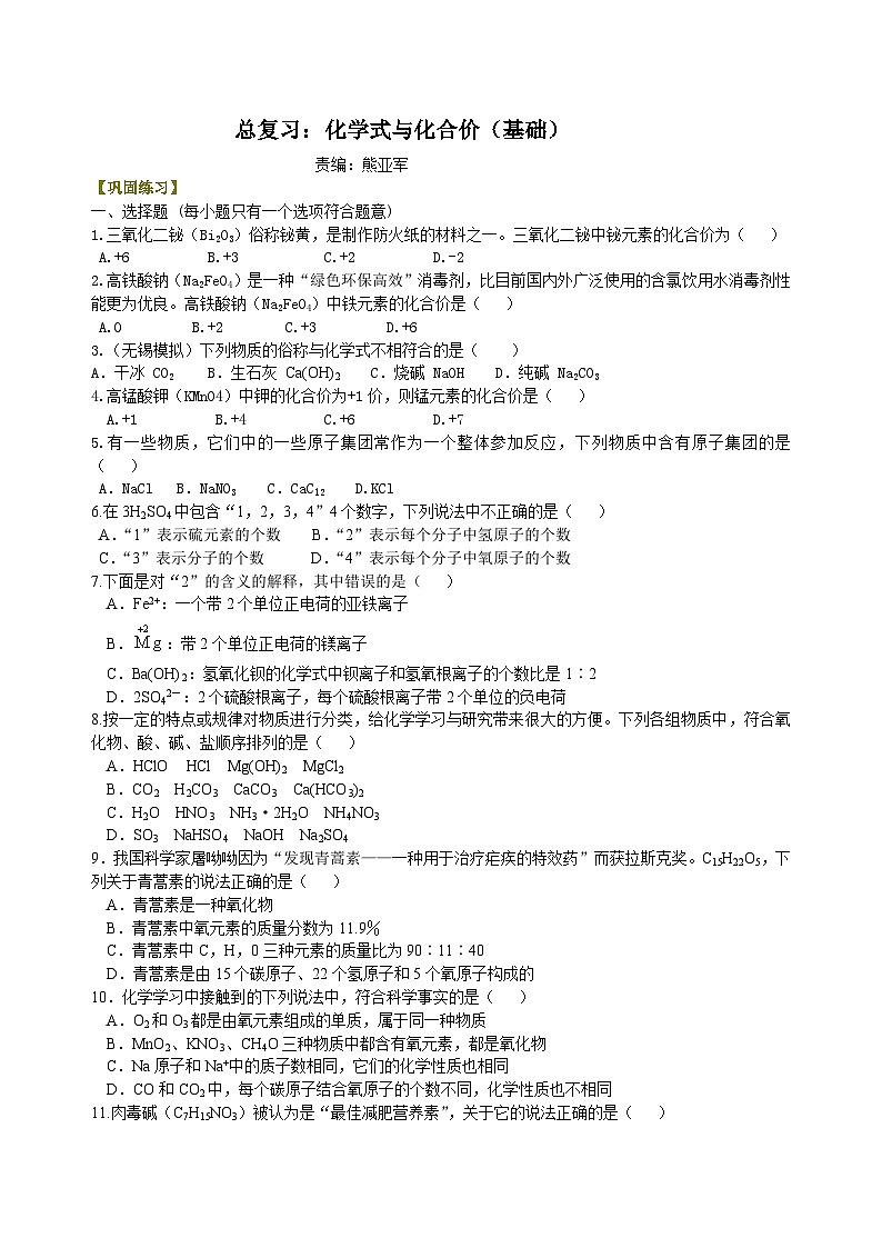中考化学一轮复习:物质组成的表示——化学式与化合价(基础) 巩固练习(含解析)第1页