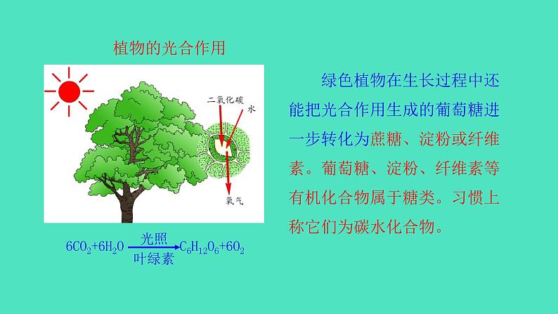 8.2 糖类 油脂第7页