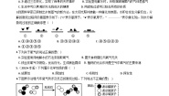 初中化学鲁教版 (五四制)八年级全册第三节 水分子的变化随堂练习题