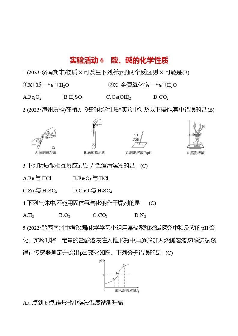 实验活动6　酸、碱的化学性质 试卷2023-2024人教版 九年级化学01