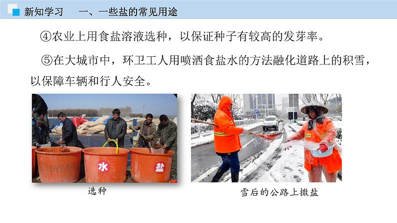 6.2 盐和肥料(第二课时)(课件)—九年级化学沪教版第二学期(试用本)同步精品课堂(上海专用)第8页