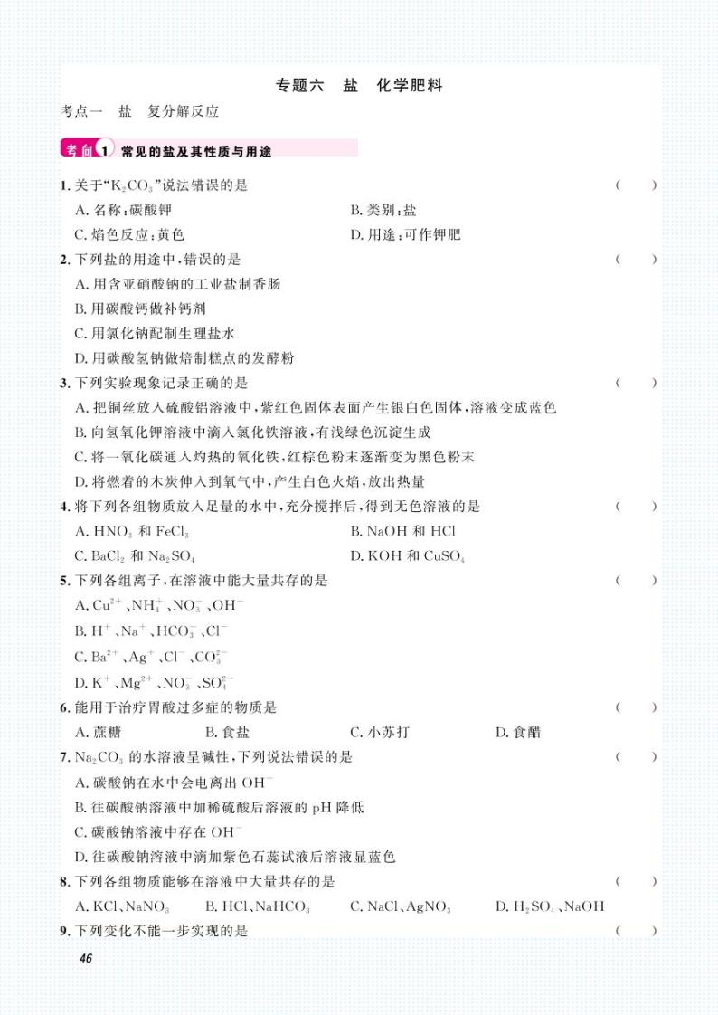 中考化学一轮复习专题训练集训：专题六 盐 化学肥料（2份打包，原卷版+答案版）01