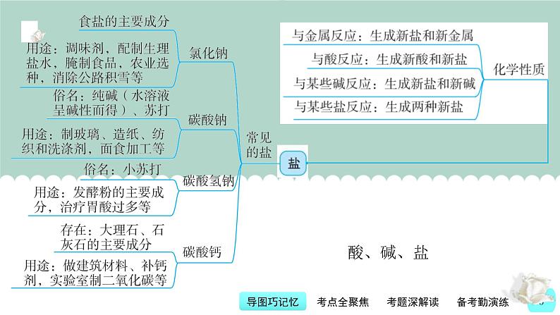 中考化学一轮复习基本过关练习课件第9讲 常见酸、碱、盐(含解析)05