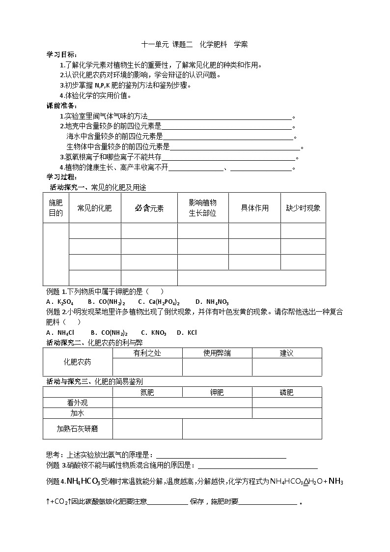 人教版化学九年级下册11.2《化学肥料》导学案2第1页