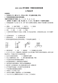 陕西省汉中市南郑县2023-2024学年九年级上学期期中化学试题