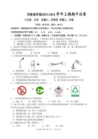 河南省实验中学2023-2024学年九年级上学期期中化学试卷