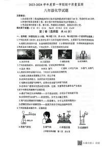 山东省泰安市宁阳县2023-2024学年八年级上学期期中考试化学试题