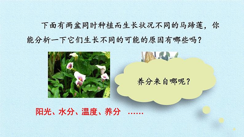 人教版化学九年级下册 第十一 单元 盐 化肥 课题2 化学肥料 课件02