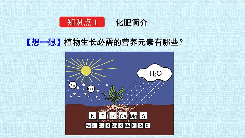 人教版化学九年级下册 第十一 单元 盐 化肥 课题2 化学肥料 课件04