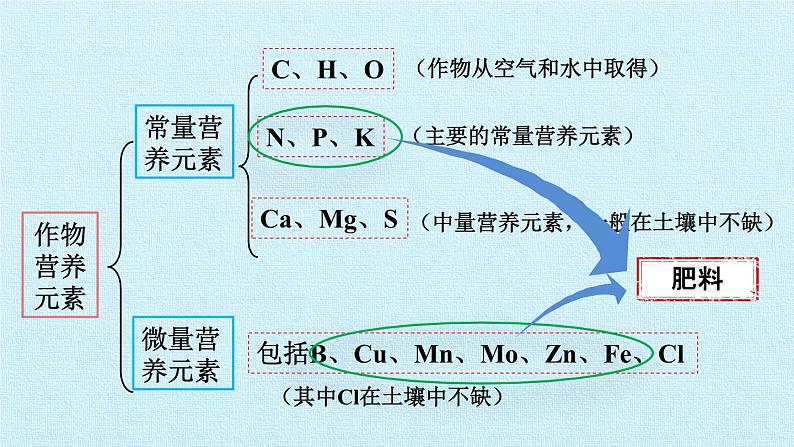 人教版化学九年级下册 第十一 单元 盐 化肥 课题2 化学肥料 课件05