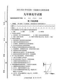 山东省淄博市淄川区2023-2024学年九年级上学期11月期中化学试题