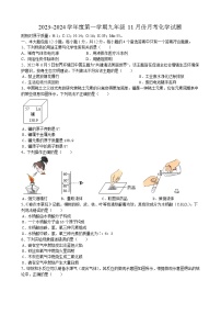 安徽省合肥市西递中学2023_2024学年九年级上学期11月份月考化学试题