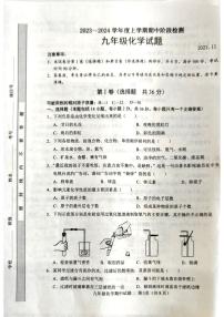 山东省临沭县2023-2024学年九年级上学期期中考试化学试题