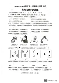 山东省菏泽市东明县2023-2024学年九年级上学期11月期中化学试题