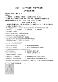 山东省金乡县2023-2024学年九年级上学期化学期中试题
