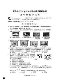 湖北省蕲春县2023-2024学年九年级上学期期中考试化学试题