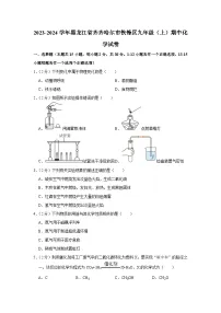 2023-2024学年黑龙江省齐齐哈尔市铁锋区九年级（上）期中化学试卷