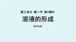 鲁教版九年级化学上册课件 第三单元 第一节 溶液的形成 第三课时