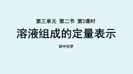 鲁教版九年级化学上册课件 第三单元 第二节 溶液组成的定量表示 第二课时