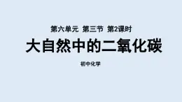 鲁教版九年级化学上册课件 第六单元 第三节 大自然中的二氧化碳（第二课时）