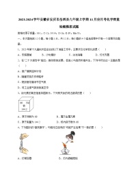 2023-2024学年安徽省安庆市岳西县九年级上册11月份月考化学学情检测模拟试题（含答案）