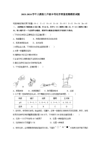 2023-2024学年人教版九年级中考化学学情检测模拟试题2（含答案）