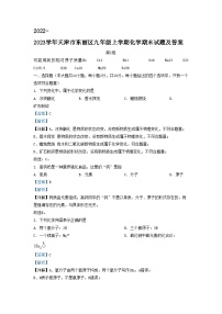 2022-2023学年天津市东丽区九年级上学期化学期末试题及答案
