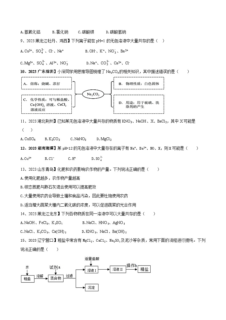 第十一单元 盐 化肥单元测试卷(B卷提升篇)(原卷版)-九年级化学下册同步单元AB卷(人教版)02