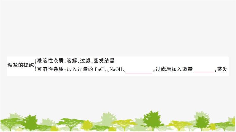 鲁教版化学九年级下册 第八单元 海水中的化学习题课件05